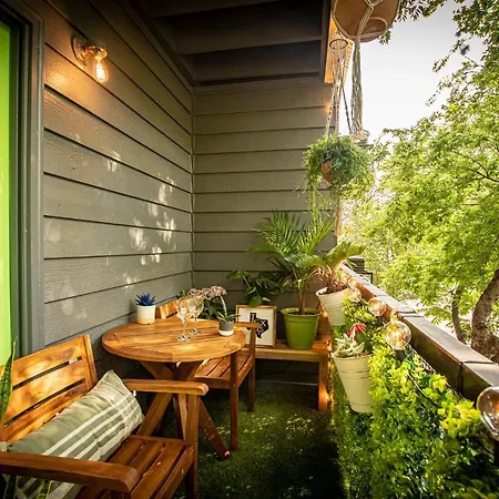 Lush, Enchanting Austin Oasis! Apartment